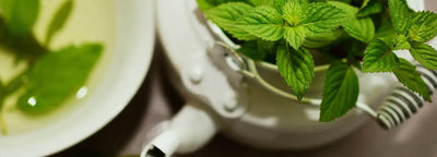Comment faire du thé à la menthe ?