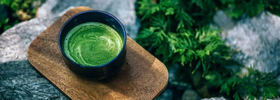 Tout savoir sur le thé matcha et ses bienfaits.