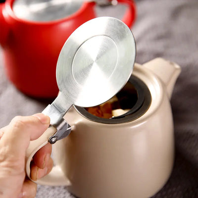 Théière Céramique Pétillante 500ml